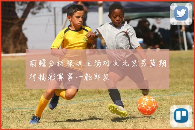 前瞻分析深圳主场对决北京男篮期待精彩赛事一触即发