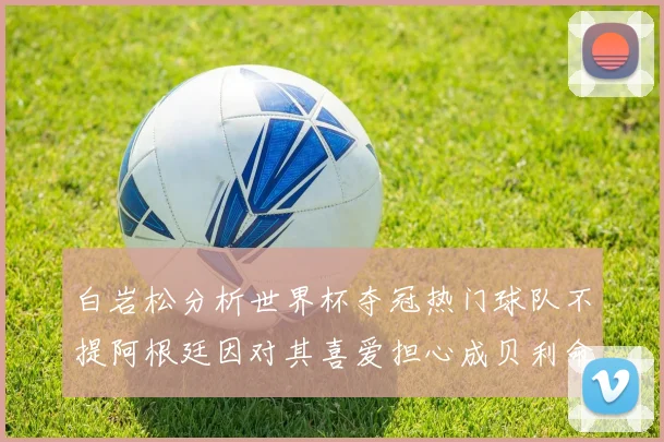 白岩松分析世界杯夺冠热门球队不提阿根廷因对其喜爱担心成贝利命运