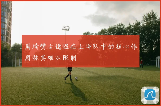 周琦赞古德温在上海队中的核心作用称其难以限制